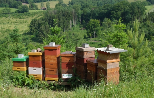 Bienenstand Utscheid