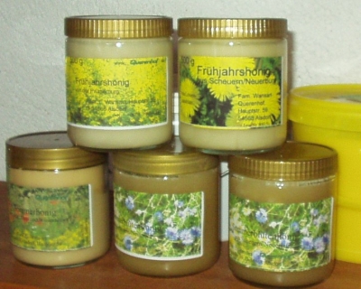 Bienenhonig